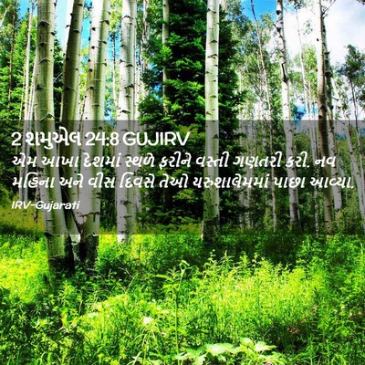 Picture 02 - 2 શમુએલ 24:8 GUJIRV - એમ આખા દેશમાં - Bible Verse Picture