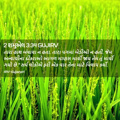 Picture 02 - 2 શમુએલ 3:34 GUJIRV - તારા હાથ બંધાયા ન - Bible Verse Picture