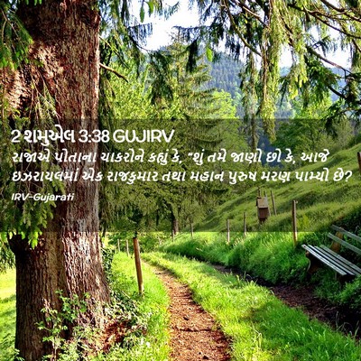 Picture 02 - 2 શમુએલ 3:38 GUJIRV - રાજાએ પોતાના - Bible Verse Picture