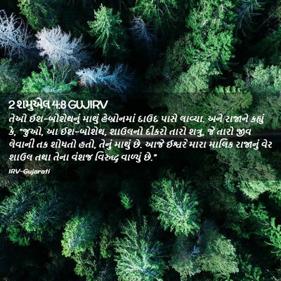 Picture 02 - 2 શમુએલ 4:8 GUJIRV - તેઓ ઈશ-બોશેથનું - Bible Verse Picture