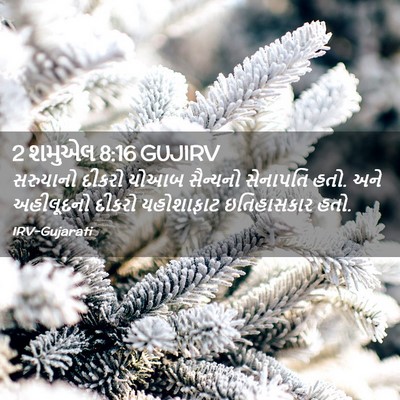 Picture 02 - 2 શમુએલ 8:16 GUJIRV - સરુયાનો દીકરો - Bible Verse Picture