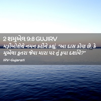 Picture 02 - 2 શમુએલ 9:8 GUJIRV - મફીબોશેથે નમન - Bible Verse Picture