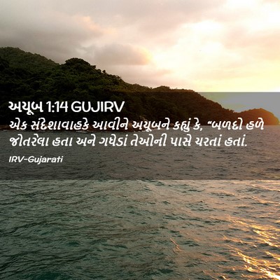 Picture 02 - અયૂબ 1:14 GUJIRV - એક સંદેશાવાહકે - Bible Verse Picture