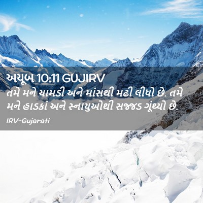 Picture 02 - અયૂબ 10:11 GUJIRV - તમે મને ચામડી અને - Bible Verse Picture