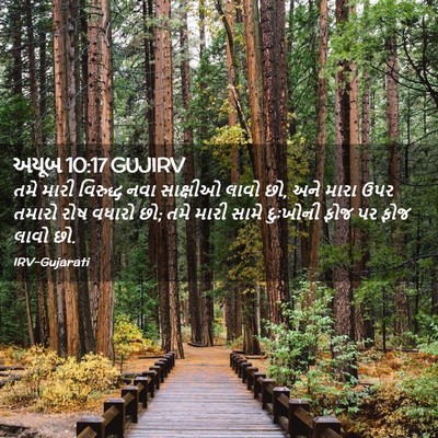 Picture 02 - અયૂબ 10:17 GUJIRV - તમે મારી વિરુદ્ધ - Bible Verse Picture