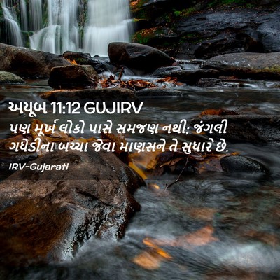 Picture 02 - અયૂબ 11:12 GUJIRV - પણ મૂર્ખ લોકો પાસે - Bible Verse Picture