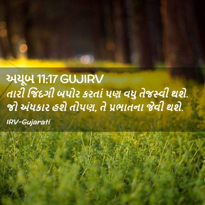 Picture 02 - અયૂબ 11:17 GUJIRV - તારી જિંદગી બપોર - Bible Verse Picture