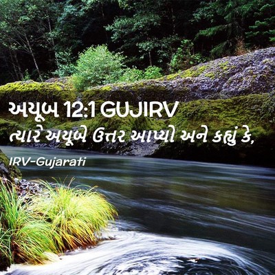 Picture 02 - અયૂબ 12:1 GUJIRV - ત્યારે અયૂબે - Bible Verse Picture