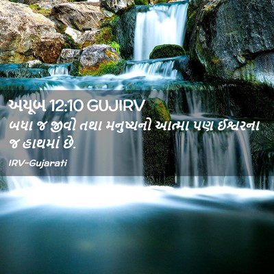 Picture 02 - અયૂબ 12:10 GUJIRV - બધા જ જીવો તથા - Bible Verse Picture