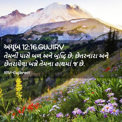 Picture 02 - અયૂબ 12:16 GUJIRV - તેમની પાસે બળ અને - Bible Verse Picture