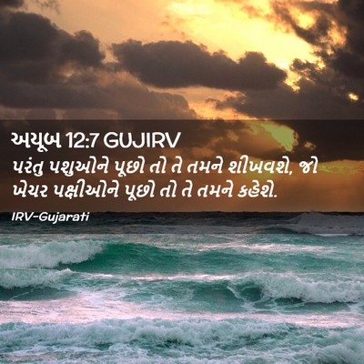 Picture 02 - અયૂબ 12:7 GUJIRV - પરંતુ પશુઓને પૂછો - Bible Verse Picture