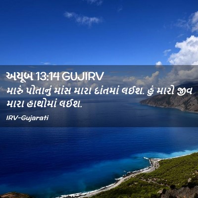 Picture 02 - અયૂબ 13:14 GUJIRV - મારું પોતાનું - Bible Verse Picture