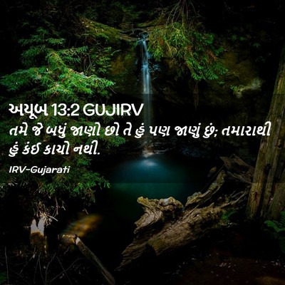 Picture 02 - અયૂબ 13:2 GUJIRV - તમે જે બધું જાણો છો - Bible Verse Picture