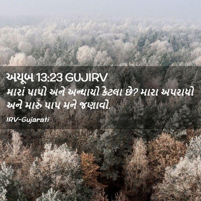Picture 02 - અયૂબ 13:23 GUJIRV - મારાં પાપો અને - Bible Verse Picture