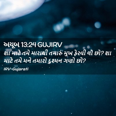 Picture 02 - અયૂબ 13:24 GUJIRV - શા માટે તમે મારાથી - Bible Verse Picture
