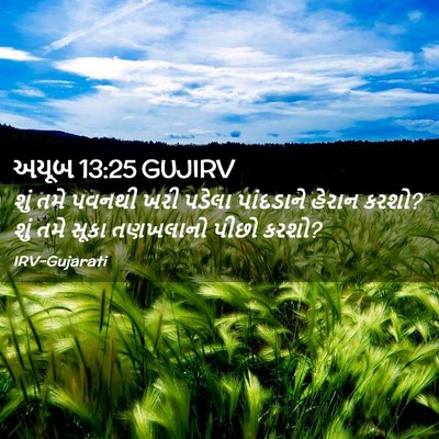 Picture 02 - અયૂબ 13:25 GUJIRV - શું તમે પવનથી ખરી - Bible Verse Picture