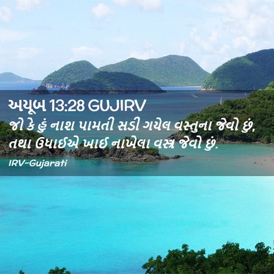 Picture 02 - અયૂબ 13:28 GUJIRV - જો કે હું નાશ પામતી - Bible Verse Picture