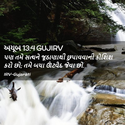 Picture 02 - અયૂબ 13:4 GUJIRV - પણ તમે સત્યને - Bible Verse Picture