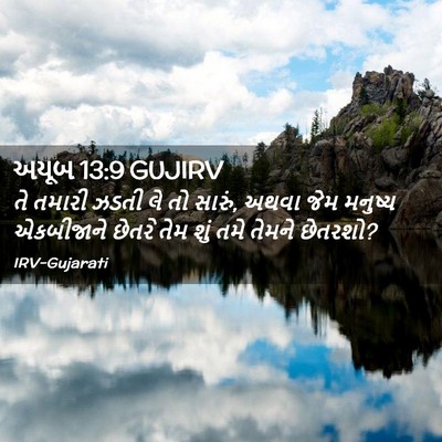 Picture 02 - અયૂબ 13:9 GUJIRV - તે તમારી ઝડતી લે તો - Bible Verse Picture