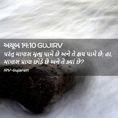 Picture 02 - અયૂબ 14:10 GUJIRV - પરંતુ માણસ મૃત્યુ - Bible Verse Picture