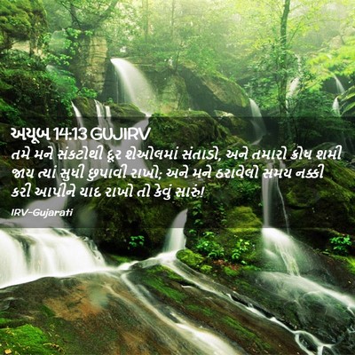 Picture 02 - અયૂબ 14:13 GUJIRV - તમે મને સંકટોથી - Bible Verse Picture