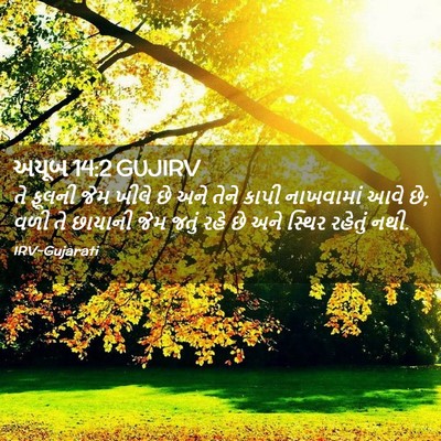 Picture 02 - અયૂબ 14:2 GUJIRV - તે ફૂલની જેમ ખીલે - Bible Verse Picture