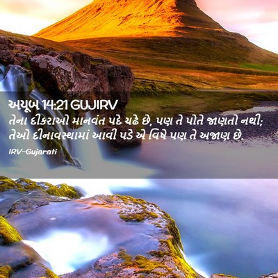 Picture 02 - અયૂબ 14:21 GUJIRV - તેના દીકરાઓ - Bible Verse Picture