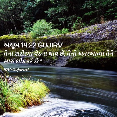 Picture 02 - અયૂબ 14:22 GUJIRV - તેના શરીરમાં - Bible Verse Picture