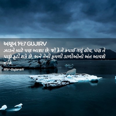 Picture 02 - અયૂબ 14:7 GUJIRV - ઝાડને માટે પણ આશા - Bible Verse Picture