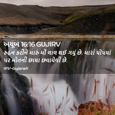 Picture 02 - અયૂબ 16:16 GUJIRV - રુદન કરીને મારું - Bible Verse Picture