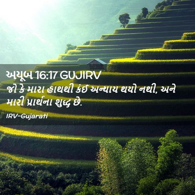 Picture 02 - અયૂબ 16:17 GUJIRV - જો કે મારા હાથથી - Bible Verse Picture