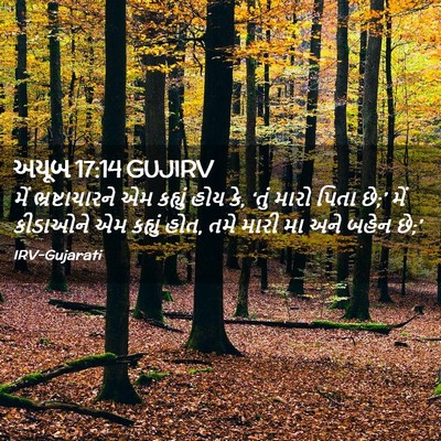 Picture 02 - અયૂબ 17:14 GUJIRV - મેં ભ્રષ્ટાચારને - Bible Verse Picture