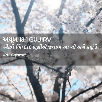Picture 02 - અયૂબ 18:1 GUJIRV - એટલે બિલ્દાદ - Bible Verse Picture