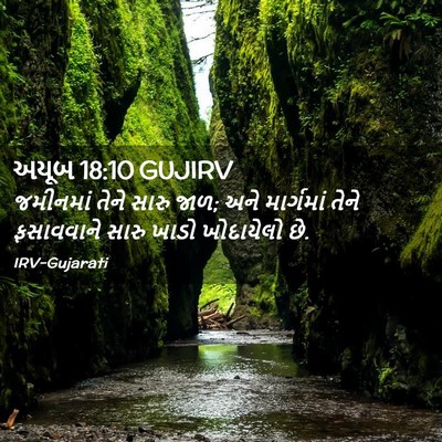 Picture 02 - અયૂબ 18:10 GUJIRV - જમીનમાં તેને સારુ - Bible Verse Picture