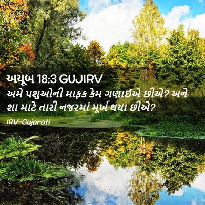 Picture 02 - અયૂબ 18:3 GUJIRV - અમે પશુઓની માફક - Bible Verse Picture
