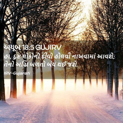 Picture 02 - અયૂબ 18:5 GUJIRV - હા, દુષ્ટ લોકોનો - Bible Verse Picture
