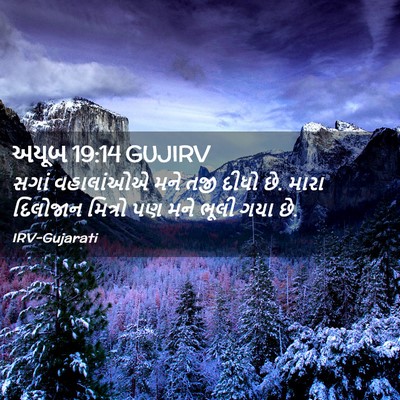 Picture 02 - અયૂબ 19:14 GUJIRV - સગાં વહાલાંઓએ મને - Bible Verse Picture