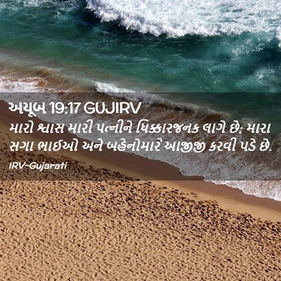 Picture 02 - અયૂબ 19:17 GUJIRV - મારો શ્વાસ મારી - Bible Verse Picture