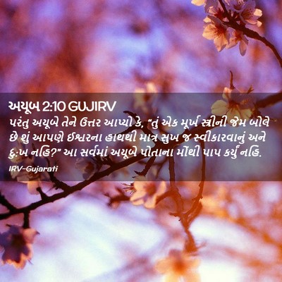Picture 02 - અયૂબ 2:10 GUJIRV - પરંતુ અયૂબે તેને - Bible Verse Picture