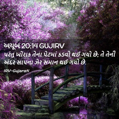Picture 02 - અયૂબ 20:14 GUJIRV - પરંતુ ખોરાક તેના - Bible Verse Picture