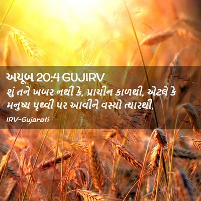 Picture 02 - અયૂબ 20:4 GUJIRV - શું તને ખબર નથી કે, - Bible Verse Picture