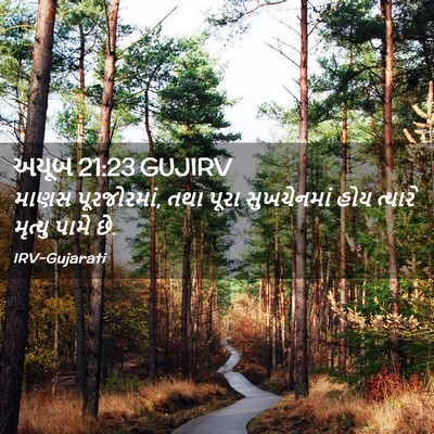 Picture 02 - અયૂબ 21:23 GUJIRV - માણસ પૂરજોરમાં, - Bible Verse Picture