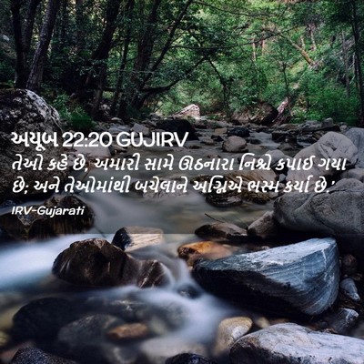 Picture 02 - અયૂબ 22:20 GUJIRV - તેઓ કહે છે, અમારી - Bible Verse Picture