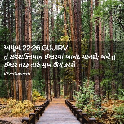 Picture 02 - અયૂબ 22:26 GUJIRV - તું સર્વશક્તિમાન - Bible Verse Picture