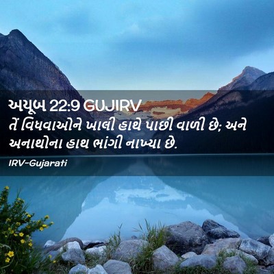 Picture 02 - અયૂબ 22:9 GUJIRV - તેં વિધવાઓને ખાલી - Bible Verse Picture