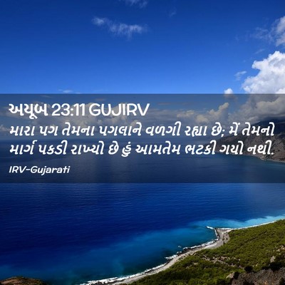 Picture 02 - અયૂબ 23:11 GUJIRV - મારા પગ તેમના - Bible Verse Picture