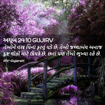 Picture 02 - અયૂબ 24:10 GUJIRV - તેઓને વસ્ત્ર વિના - Bible Verse Picture