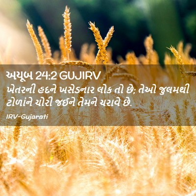 Picture 02 - અયૂબ 24:2 GUJIRV - ખેતરની હદને - Bible Verse Picture