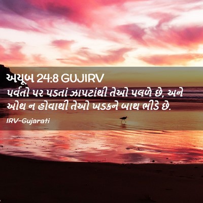 Picture 02 - અયૂબ 24:8 GUJIRV - પર્વતો પર પડતાં - Bible Verse Picture