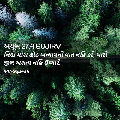Picture 02 - અયૂબ 27:4 GUJIRV - નિશ્ચે મારા હોઠ - Bible Verse Picture